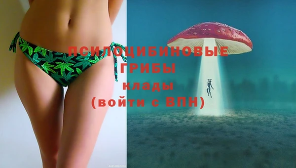 марки lsd Абаза