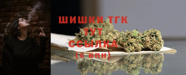 мдпв Осташков