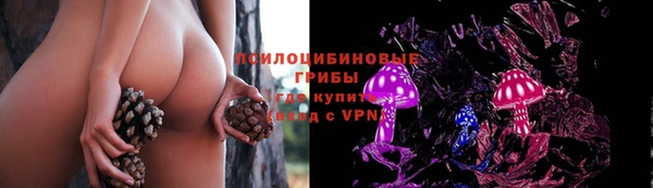 круглые Анива
