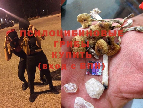 мдпв Осташков