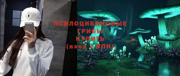 марки lsd Абаза