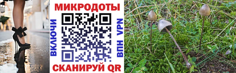 Псилоцибиновые грибы Cubensis  Исилькуль 